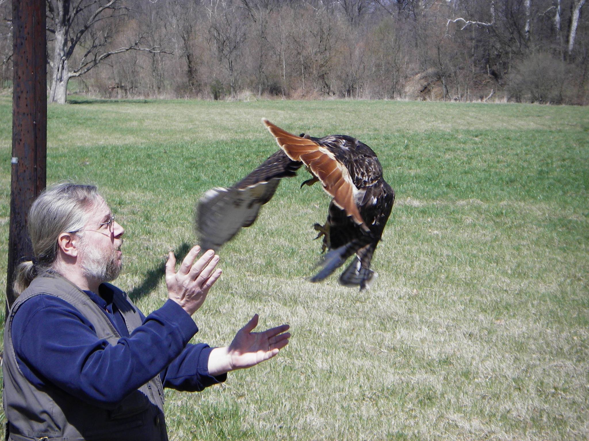 Take Flight Birds Of Prey Show Kokomo Indiana Visitors Bureau