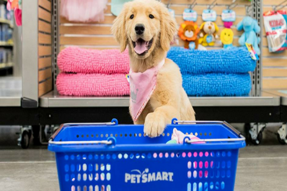 PetSmart