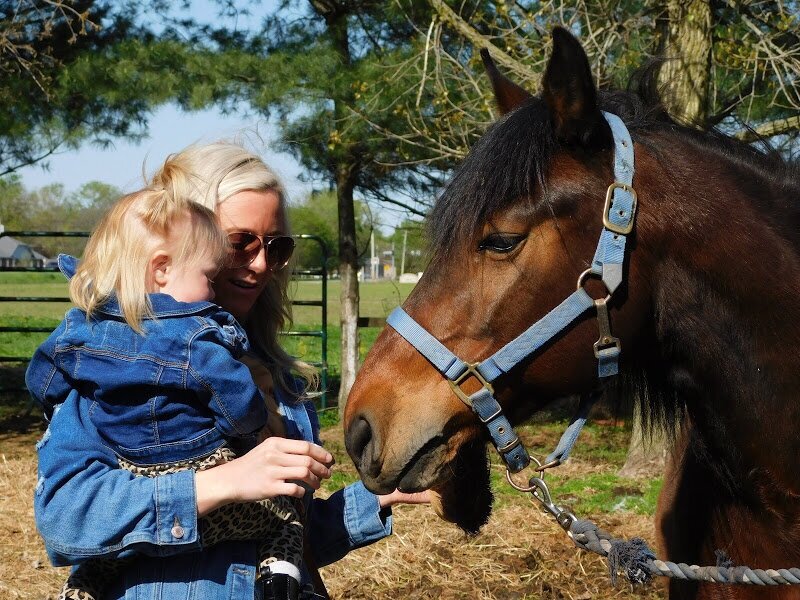 Wrangler and Friends Farm