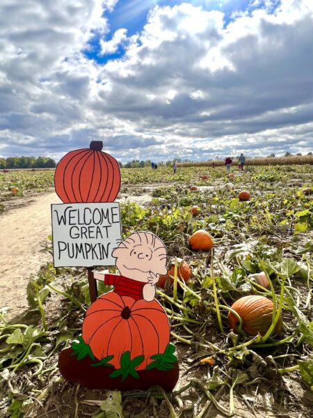 Kendall Family Farm Adventures